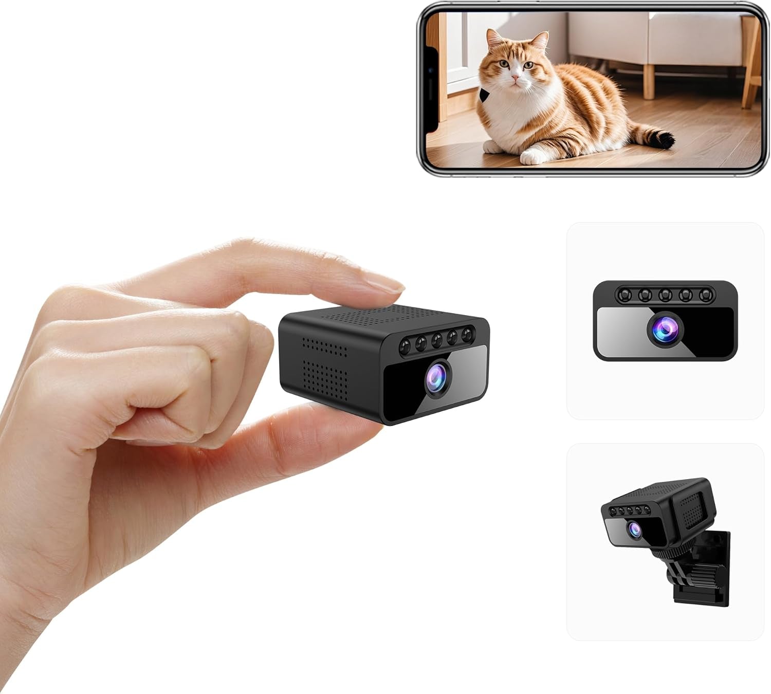 Charger la vidéo : 